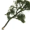 Model Sycamore Tree Railway Street Park Garden Diorama Scene 1:150 N Layout -9cm 1