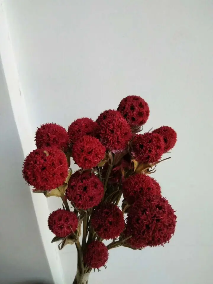 QQ20180408141453