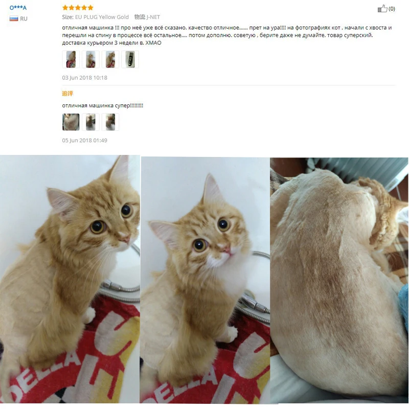 -3