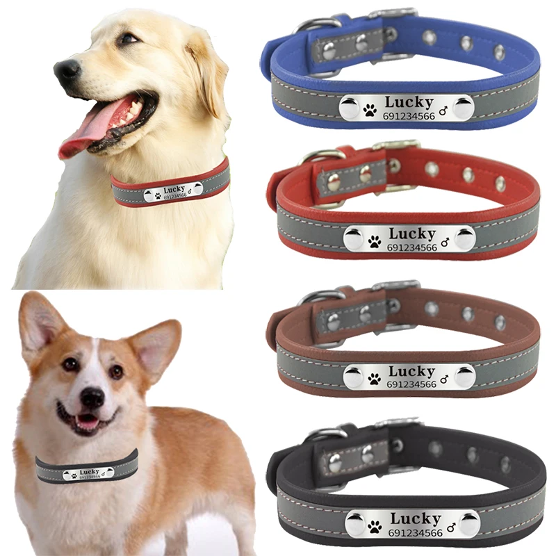Dog name collar Clearance