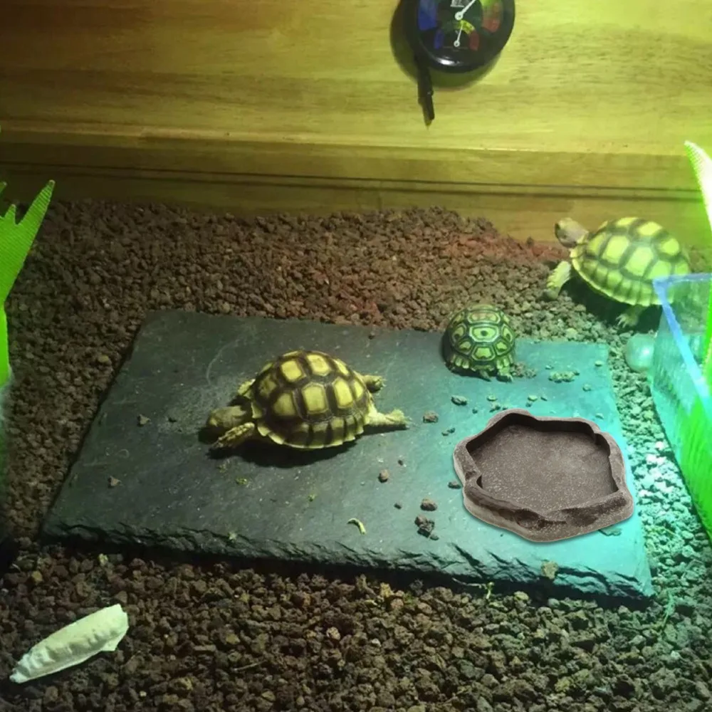 

New Reptile Resin Food Dish Bowl Turtle Gecko Water Feeder Plate Terrarium Decor feeder land turtle lizard reptile feeding plate