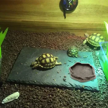 

New Reptile Resin Food Dish Bowl Turtle Gecko Water Feeder Plate Terrarium Decor feeder land turtle lizard reptile feeding plate