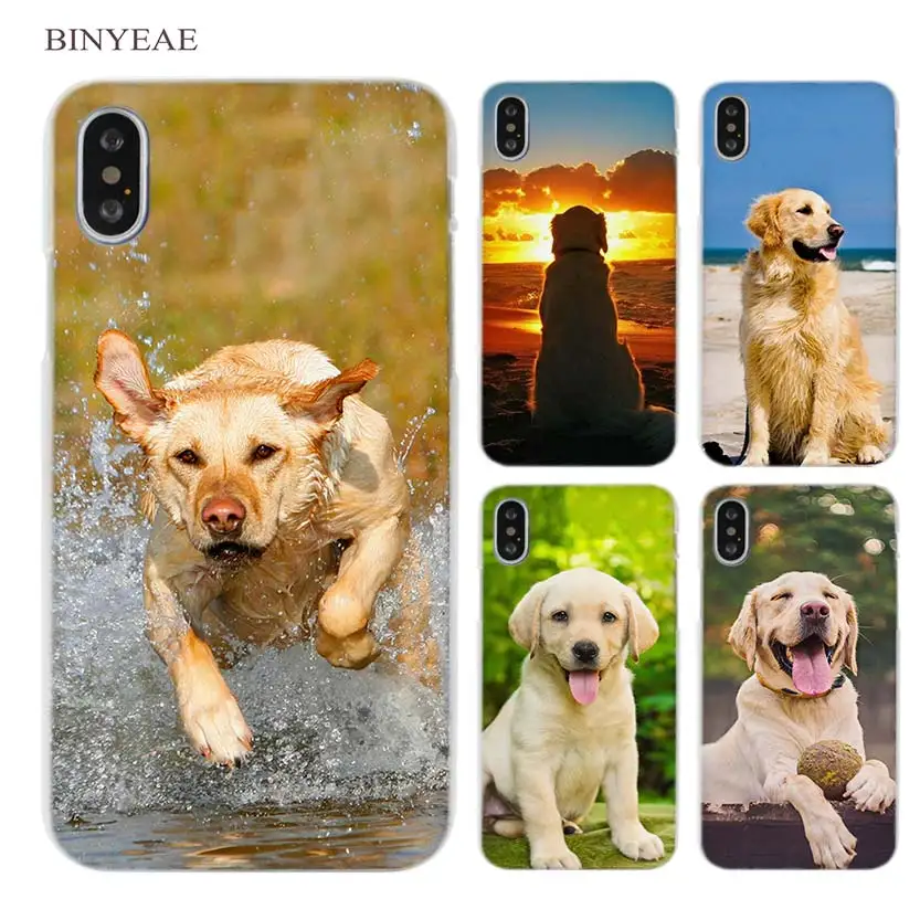 

BINYEAE Labrador Retriever dog Clear Cell Phone Case Cover for Apple iPhone X 6 6s 7 8 Plus 4 4s 5 5s SE 5c