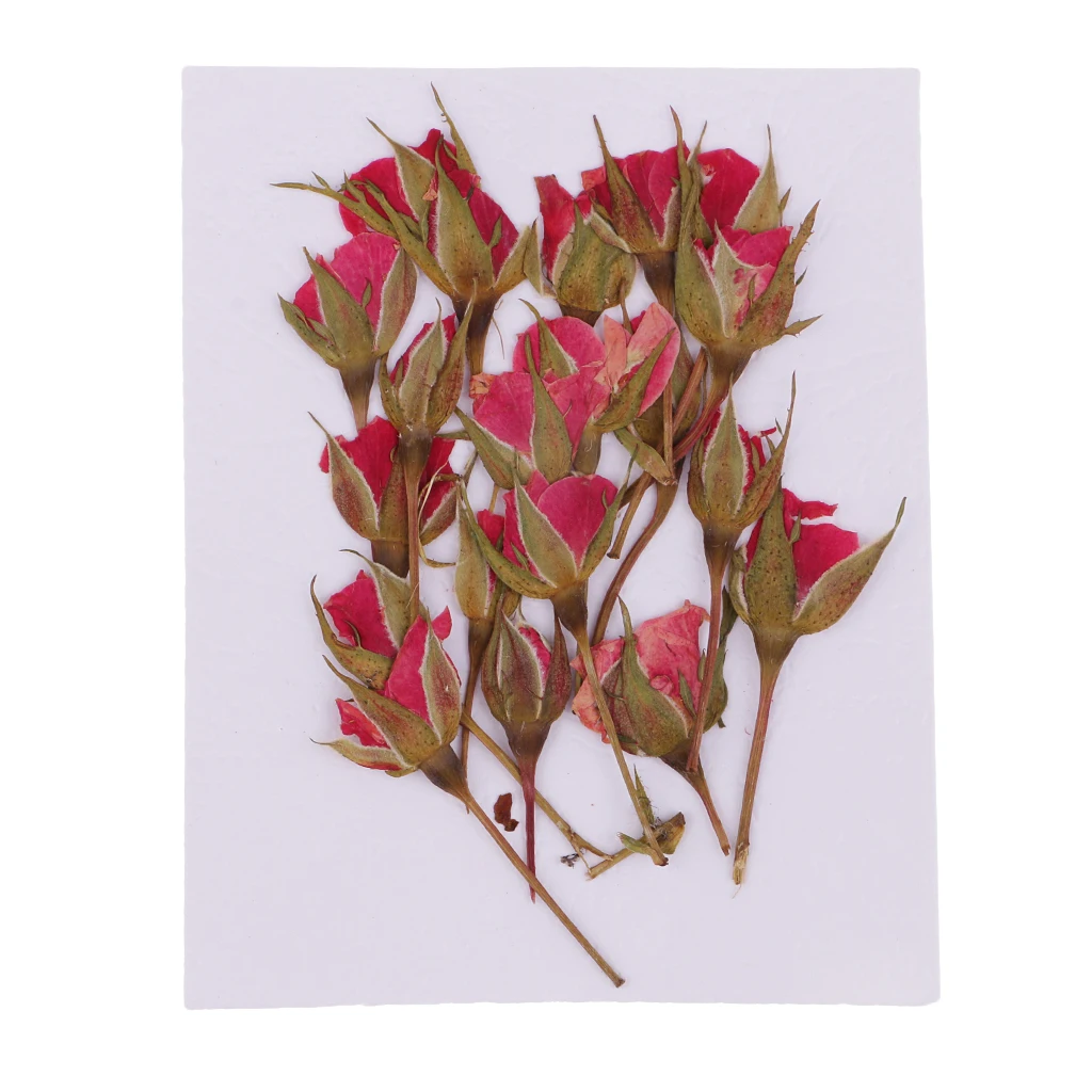 20x Pressed Natural Dried Flower Rose Flower Embellishment for DIY Phone Case Decoration DIY Handmade Home Ornament Craft