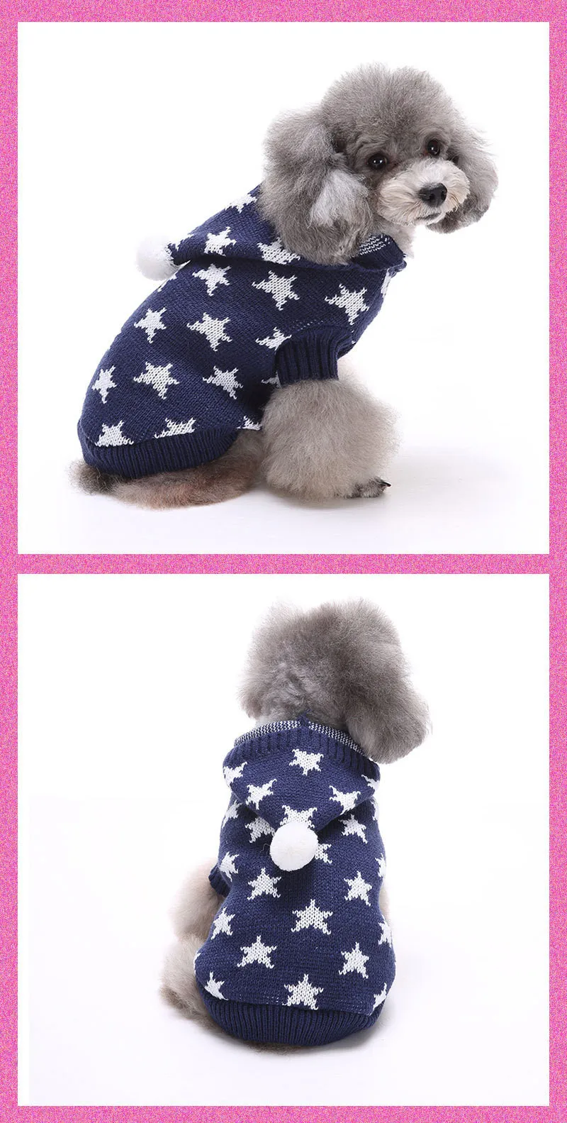 dog clothing19