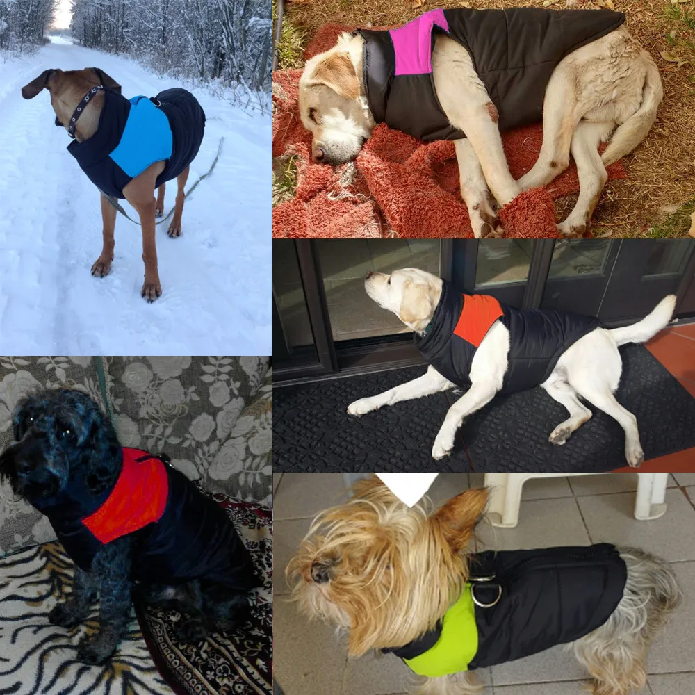 Осень зима теплая водонепроницаемая ветрозащитная собака Чихуахуа щенок жилет куртка маленький средний большой собаки пальто куртка одежда S-5XL