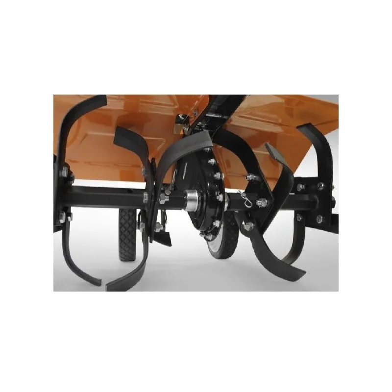 downloadedPhotos (2)