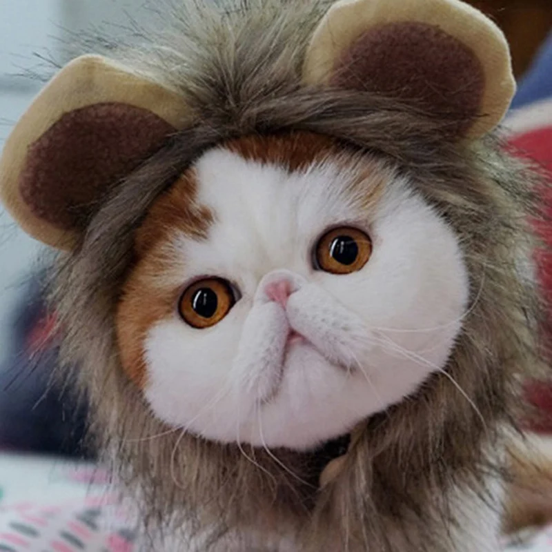 Funny Cute Pet Costume Cosplay Lion Mane Wig Cap Hat for Cat Halloween Clothes Fancy Dress with Ears Autumn Winter Funny Cute Pet Costume Cosplay Lion Mane Wig Cap Hat for Cat Halloween Clothes Fancy Dress with Ears Autumn Winter