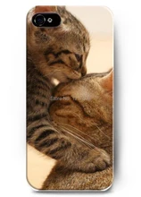 2016 Series Of Intimate Small Animal Kitten Eyes Charming Couple Play Nice Hard Case for iphone 4 4s 5 5s 5c 6 6S 6plus 6S PLUS
