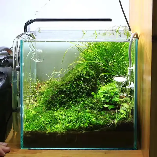 Planta cresce a luz LED Chihiros série C ADA estilo mini