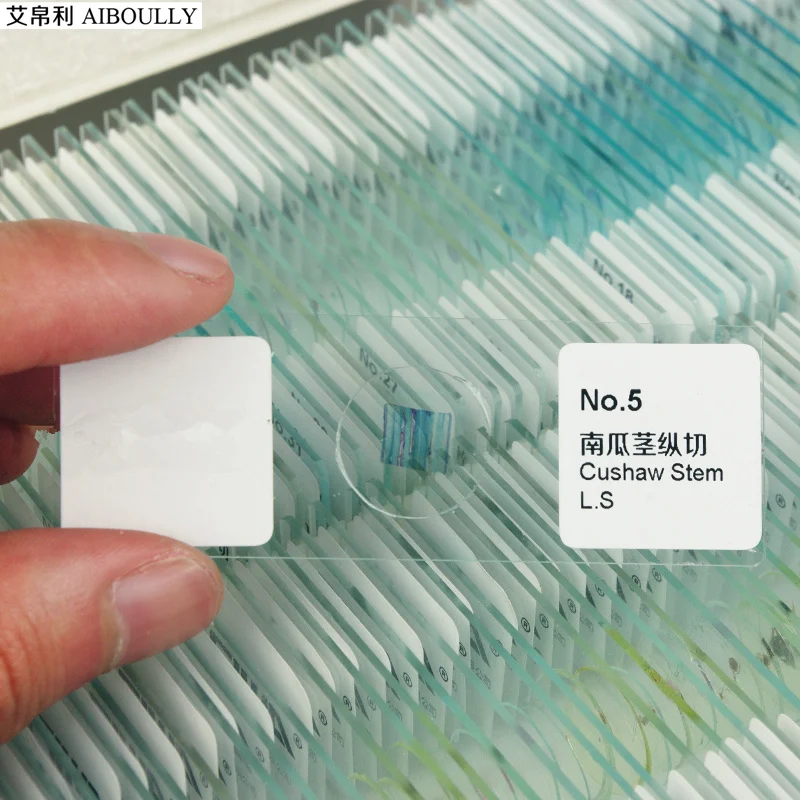 Student Microscope dedicated biopsy 50 pieces of slides flora and fauna plant samples of science experiment Teaching equipment flora of lcwu