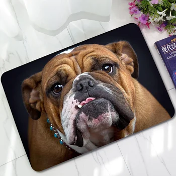 

Zeegle Living Room Door Mat Floor Foot Mat Carpet for Kitchen Entrance Doormat Bedroom Bedrside Carpet Cat Printed Area Rug