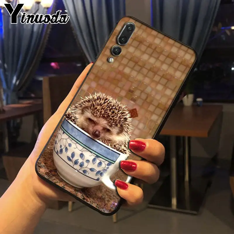 Hedgehog ride a bike Cute in Teacup Animal Art