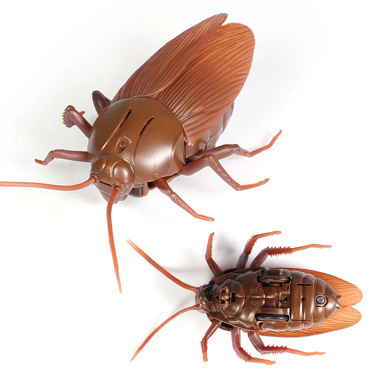 Пластмассовые насекомые. Паук имитирующий божью коровку. Насекомые на радиоуправлении. Муха на пульте управления. Пластмассовые игрушки насекомые.