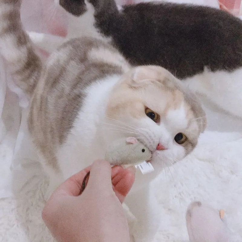 

3pcs/Set Cat Bite-resistant Toy Plush Simulated Mice Hide And Seek Game Props Toys With Funny Kitten Interactive Supplies PT5098