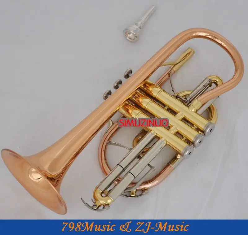 Professional Rose Brass horn B flat NEW Double triggers Trumpet With Casein Trumpet from