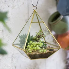 Golden Four-surfaced Diamond Glass Geometric Terrarium Succulent Fern Moss Plant Flower Pot Wall Gardening Decorative Planter