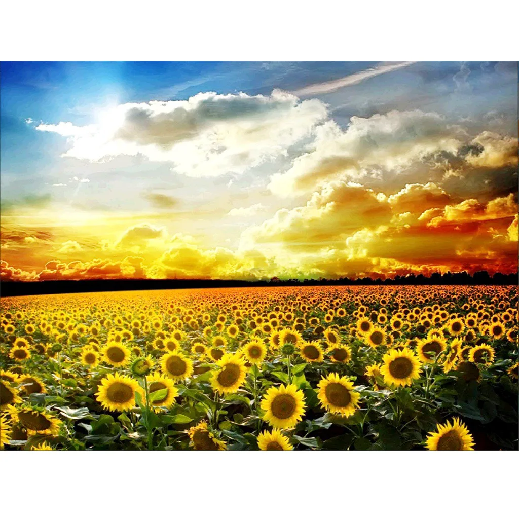 5d diamond painting accessories a large sunflower amsterdam sunshine daimond david jones boedha broderie diamant nouveaute 2019 5d diamond painting accessories a large sunflower amsterdam sunshine daimond david jones boedha broderie diamant nouveaute 2019