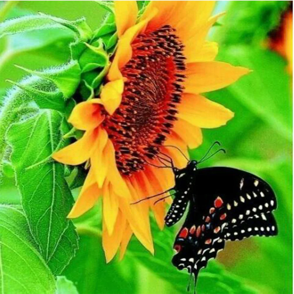 diy picture diamond flower and butterfly mosaic painting 5d point crystal cross set square Diamond K64 decorative embroidery | Дом и сад