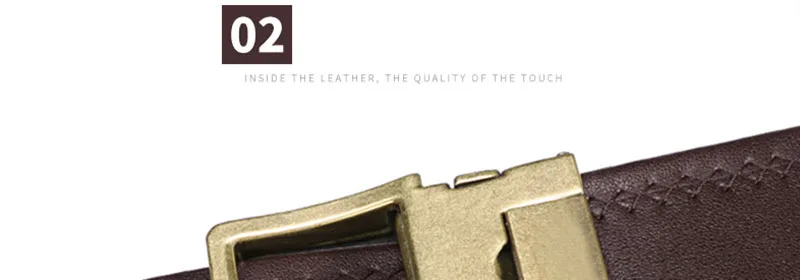 ZD185 (6)