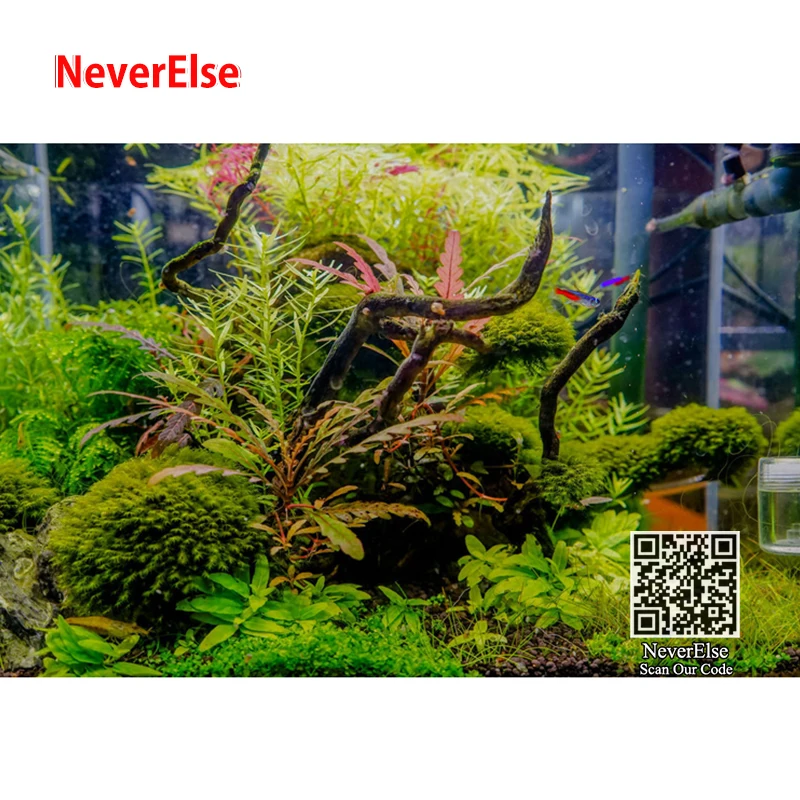 6pcs Aquarium Fish Tank Driftwood Natural Tree Trunk Root Plant Stump Branch Ornament Aquario Decoration Waterscape Accessories
