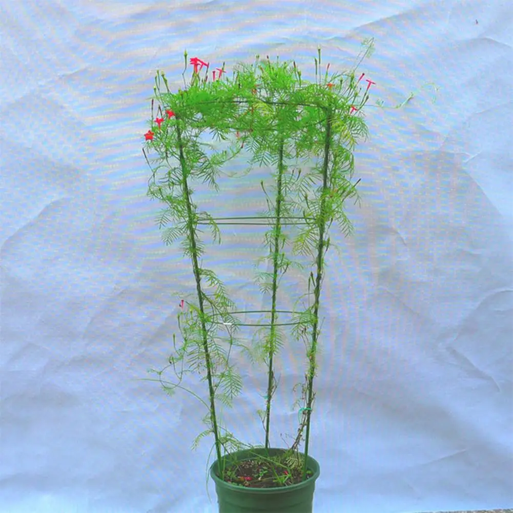 45 см железное кольцо Liana растение поддержка стенд цветочный горшок Скоба Садовые принадлежности