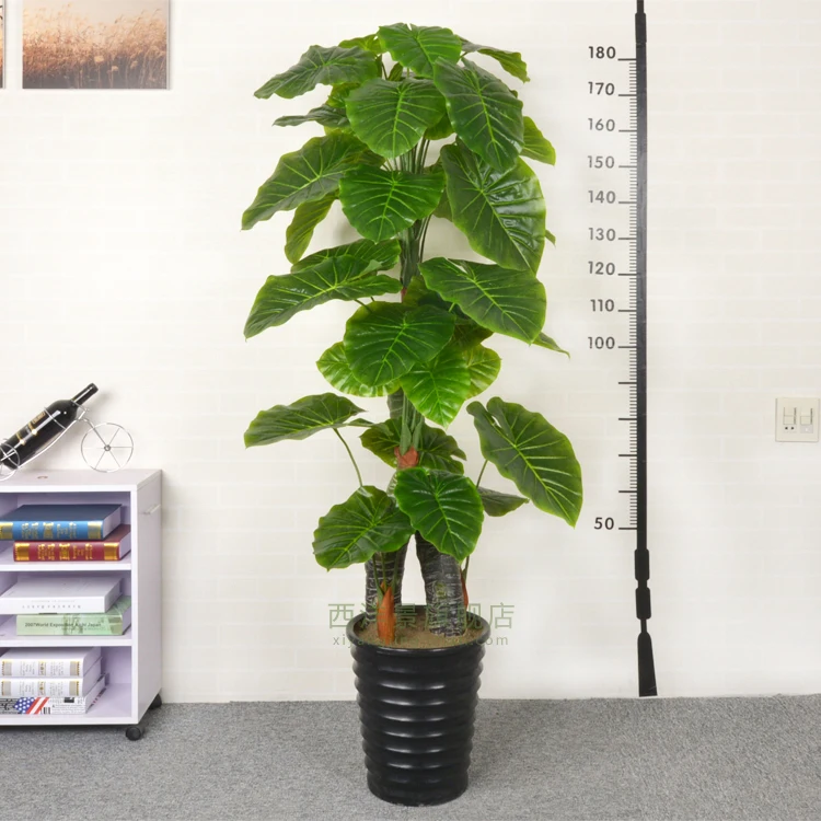 Zijde vloer planten koop goedkope zijde vloer planten loten van ... Groene woonkamer planten