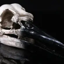 Динозавр, птица, Череп, медицинские образовательные принадлежности, Череп, форма скелет, детские подарки, игрушки, украшение на Хэллоуин