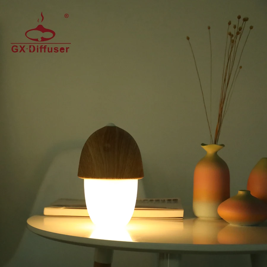

GX Diffuser Night Light Desk Lamp Led Lights for Home Children Study Battery Powered Porch Touch Transformers Dimmable Portable