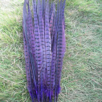 

Wholesale 100 pcs beautiful purple pheasant tail feathers of 50-55 cm 20-22 inches free shipping