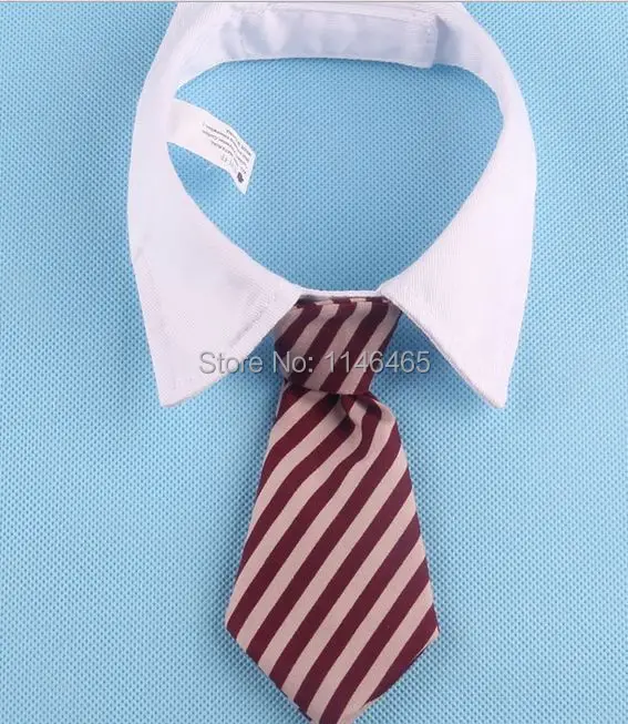 New-2015-Handsome-Formal-Dog-Cat-Bow-Tie-Groom-Pet-Dogs-Tie-Wedding-Accessories-5-Color (3).jpg