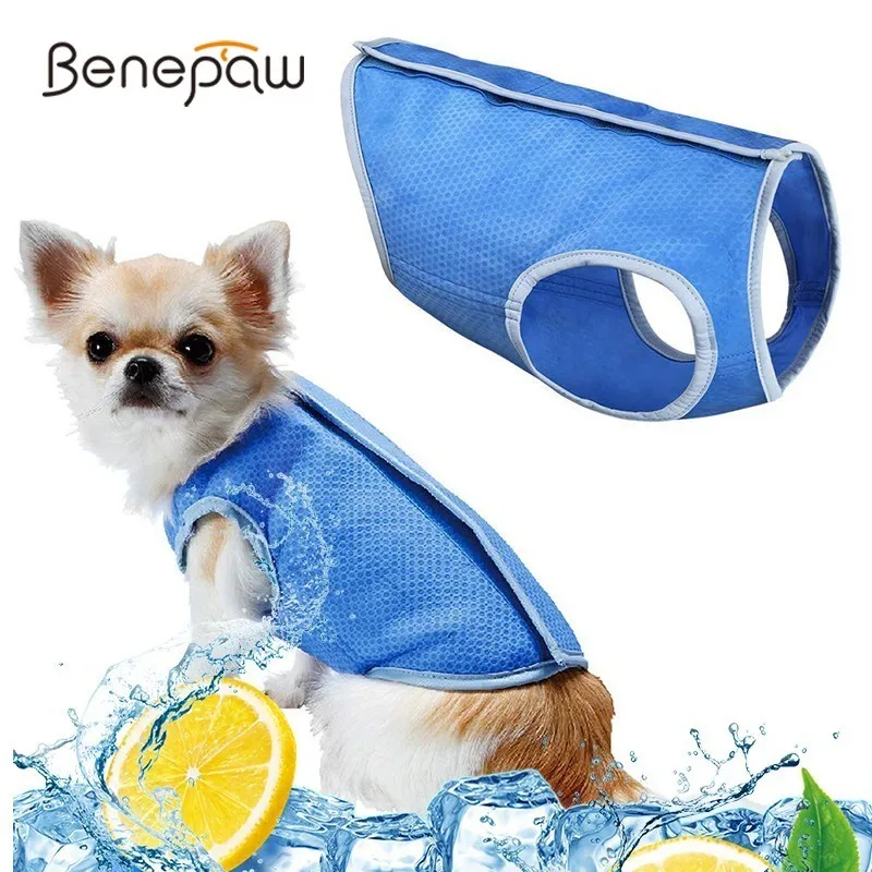 

Benepaw Lightweight Cooling Dog Vest Back Hook And Loop Closure Nontoxic Pet Dog Clothes Summer Coat Jacket For Puppy Cat Kitten