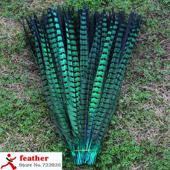 

High quality natural green pheasant tail feathers 50 PC 20to22 inches / 50 to 55 cm feather