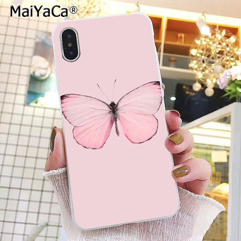 Butterfly Stand On The Cat Nose 