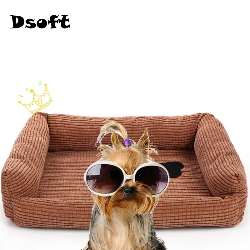 4961305261_1847764777