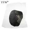 Vacuum Pack Oyster Wish Freshwater Pearl Mussel Shell With Pearl 2017 new arrival Mysterious Gift Surprise Vacuum pack pearl ► Photo 3/5