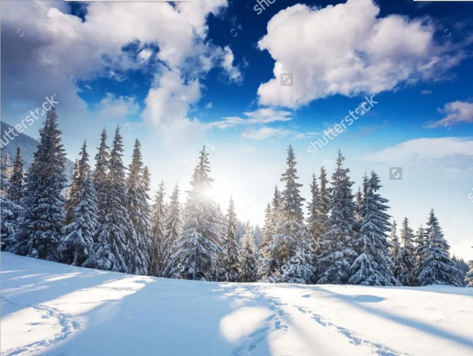 Ozel Dogal Duvar Kaplamalari Kis Manzara 3d Fotograf Duvar Oturma Odasi Yatak Odasi Restoran Arka Plan Duvar Papel De Parede Mural 3d Mural For Wallmurals Photo Aliexpress