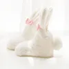 Coral Fleece Baby Girls Socks Newborn Soft Cute Rabbit Baby Socks Winter Style Size S(3M,6M,9M)andM(12M,18M,24M) ► Photo 3/5