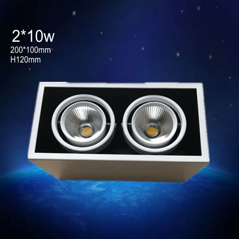 

4pcs/lot Luces Led 2018 2*10w Spot Free Shipping 200*100mm Epistar Led Downlight With 100lm/w Luminous Flux Ce And Tuv Marks