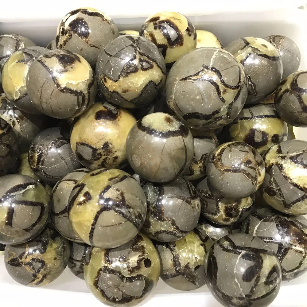 Online Buy Wholesale dragon fossil from China dragon
