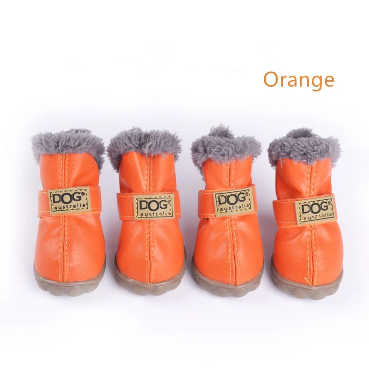 dog boots