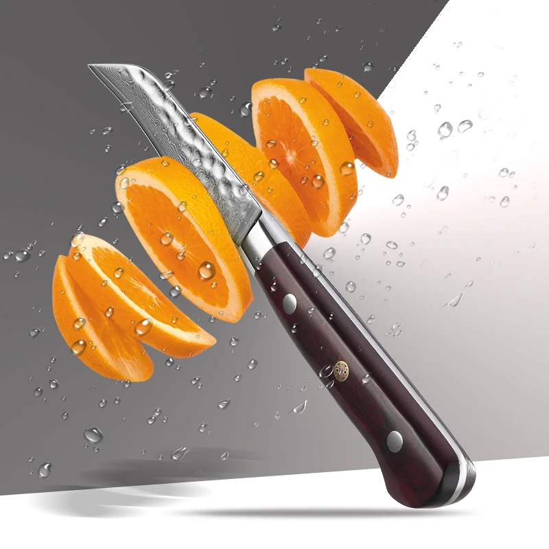  XINZUO Professional 3.5 inch Paring Knife 67 Layers VG10 Damascus Steel Kitchen Knives Fruit Knife  - 33001966816