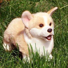 1pc Cute Welsh Corgi Puppies Real Life Plush Toy Simulation Stuffed Animal Dog for Children Photo Props Kids Doll Birthday Gift
