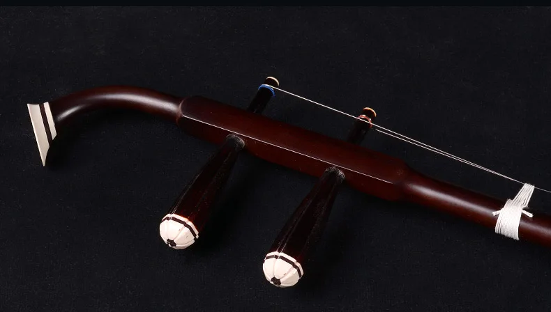 Высококачественный Китайский инструмент эрху Rosewood струны Музыкальные инструменты 04AS с чехол для смычка книга на английском и полный набор аксессуаров