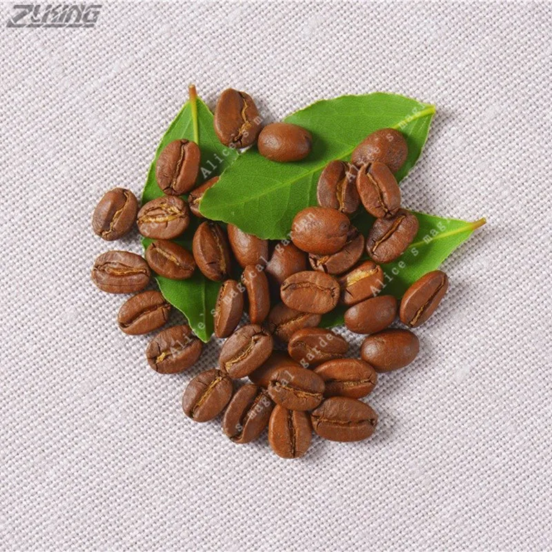 

ZLKING 20pcs Coffee Beans Cherry Arabian Cocoa With Aroma Fresh Healthy Natural Flowers Garden Rare Tropical Edible Plants
