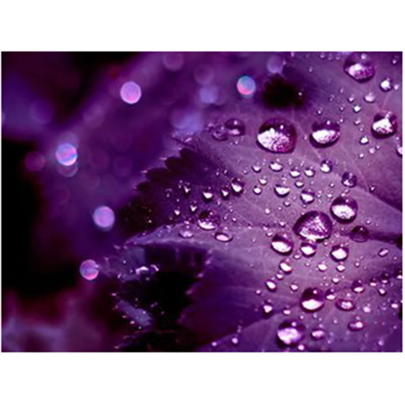 Full Square&Round Drill 5D DIY Diamond Painting purple leaf  cross stitch crystal diamond LK1