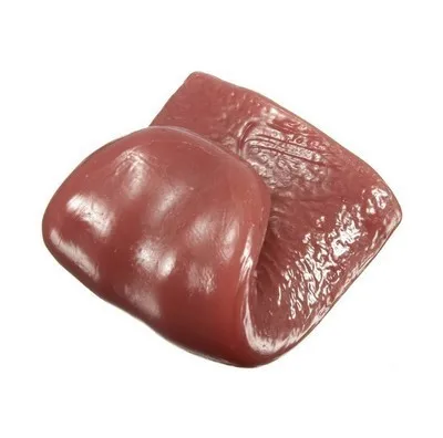 New Horror Funny Magic Tricks Whole Person False Simulation Tongue Decompression Toy Halloween Prank Finger for Magic Tricks E