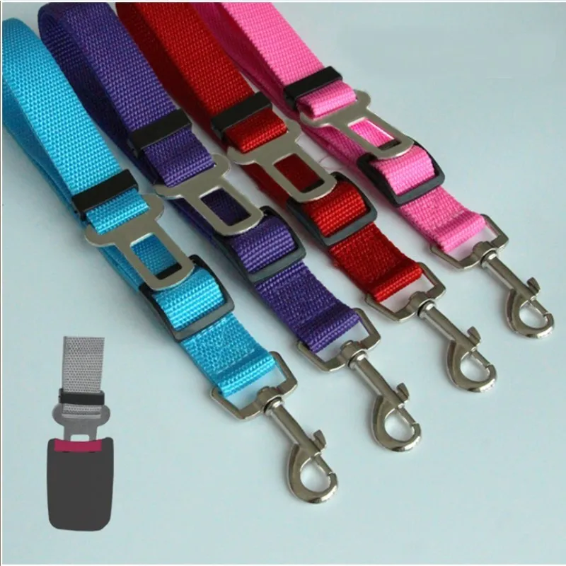 Belt-2