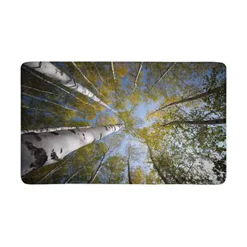 

InterestPrint Sky in Russian Forest Indoor Doormat Latex Backing Non Slip Door Mat Entrance Rug 30"(L) x 18"(W)