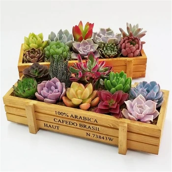 

Colourful Rectangle Plant Pot Decorative Wooden Plant Flower Boxes Garden Crates Table Flower Pot Garden Home Flower Decor